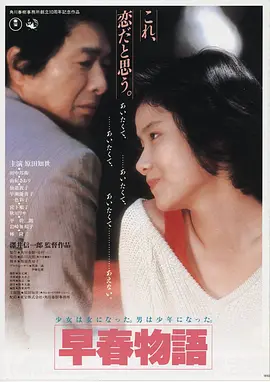 冰岛极光 冰岛 文艺 2015